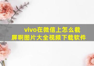 vivo在微信上怎么截屏啊图片大全视频下载软件