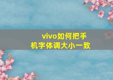 vivo如何把手机字体调大小一致