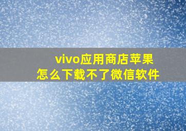 vivo应用商店苹果怎么下载不了微信软件