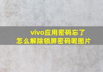 vivo应用密码忘了怎么解除锁屏密码呢图片