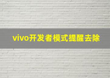 vivo开发者模式提醒去除