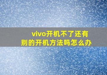 vivo开机不了还有别的开机方法吗怎么办