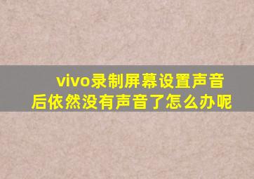 vivo录制屏幕设置声音后依然没有声音了怎么办呢