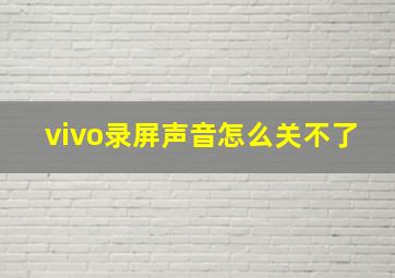 vivo录屏声音怎么关不了