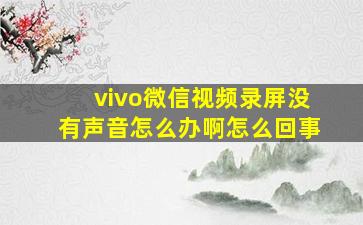 vivo微信视频录屏没有声音怎么办啊怎么回事