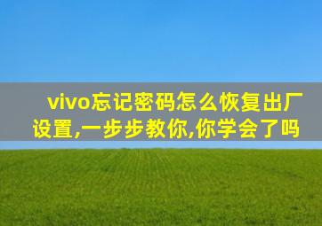 vivo忘记密码怎么恢复出厂设置,一步步教你,你学会了吗