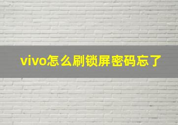 vivo怎么刷锁屏密码忘了