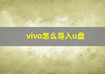 vivo怎么导入u盘