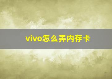 vivo怎么弄内存卡