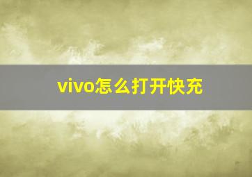 vivo怎么打开快充