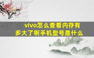 vivo怎么查看内存有多大了啊手机型号是什么