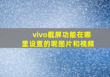 vivo截屏功能在哪里设置的呢图片和视频