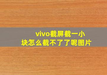 vivo截屏截一小块怎么截不了了呢图片