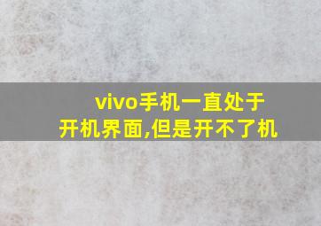 vivo手机一直处于开机界面,但是开不了机