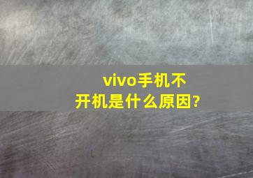 vivo手机不开机是什么原因?