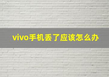 vivo手机丢了应该怎么办