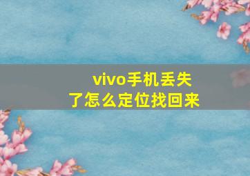 vivo手机丢失了怎么定位找回来