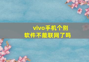 vivo手机个别软件不能联网了吗