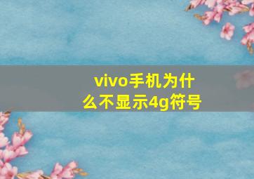 vivo手机为什么不显示4g符号