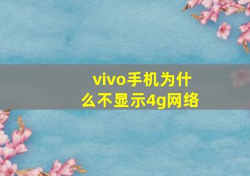 vivo手机为什么不显示4g网络