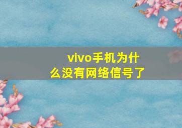 vivo手机为什么没有网络信号了