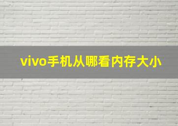 vivo手机从哪看内存大小