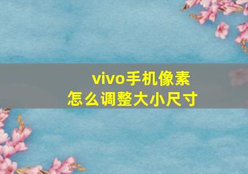 vivo手机像素怎么调整大小尺寸