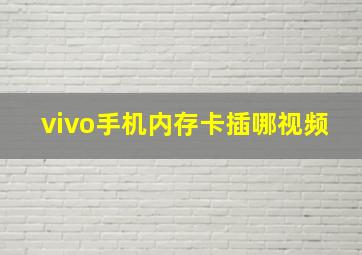 vivo手机内存卡插哪视频