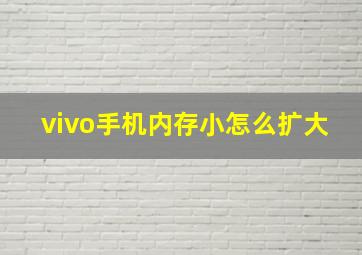 vivo手机内存小怎么扩大