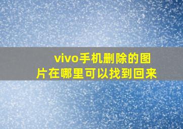 vivo手机删除的图片在哪里可以找到回来