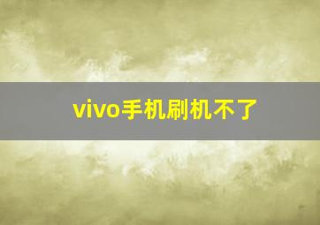 vivo手机刷机不了