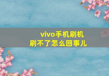 vivo手机刷机刷不了怎么回事儿