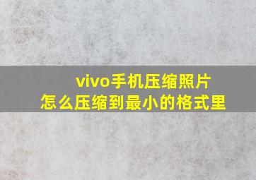 vivo手机压缩照片怎么压缩到最小的格式里