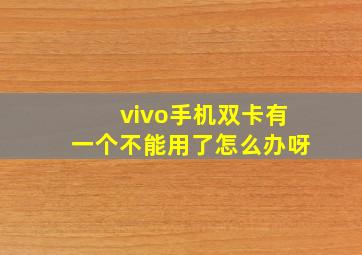 vivo手机双卡有一个不能用了怎么办呀