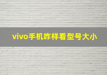 vivo手机咋样看型号大小