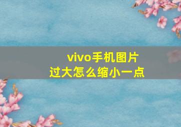 vivo手机图片过大怎么缩小一点