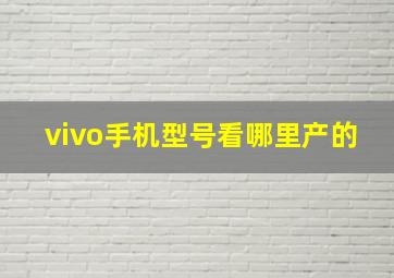 vivo手机型号看哪里产的