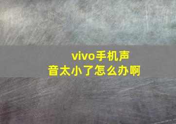 vivo手机声音太小了怎么办啊