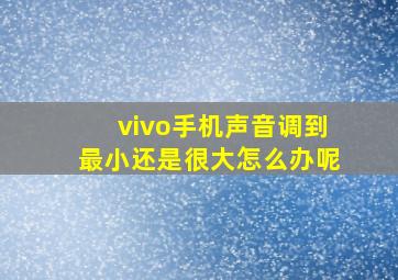 vivo手机声音调到最小还是很大怎么办呢