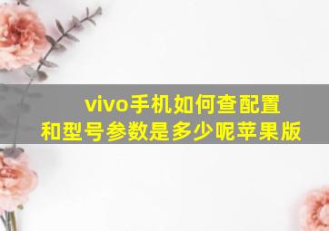 vivo手机如何查配置和型号参数是多少呢苹果版