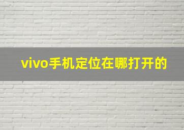 vivo手机定位在哪打开的