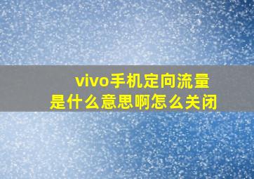 vivo手机定向流量是什么意思啊怎么关闭