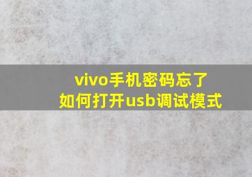 vivo手机密码忘了如何打开usb调试模式