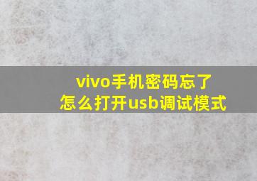 vivo手机密码忘了怎么打开usb调试模式