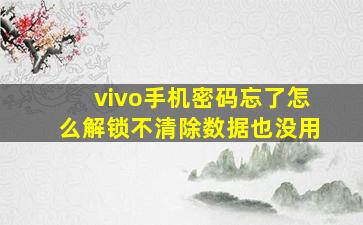 vivo手机密码忘了怎么解锁不清除数据也没用