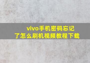 vivo手机密码忘记了怎么刷机视频教程下载