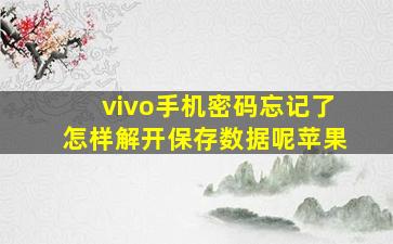 vivo手机密码忘记了怎样解开保存数据呢苹果