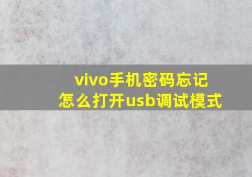 vivo手机密码忘记怎么打开usb调试模式