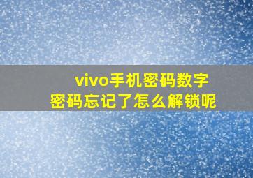 vivo手机密码数字密码忘记了怎么解锁呢