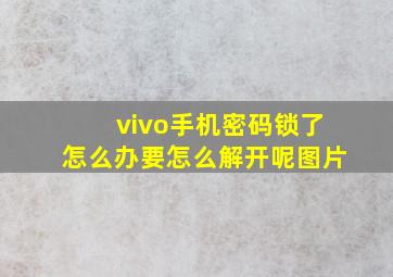 vivo手机密码锁了怎么办要怎么解开呢图片